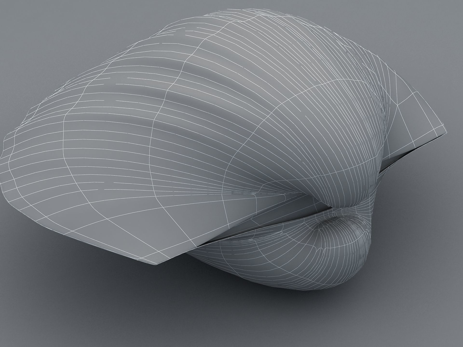 Tegillarca granosa Clam Low-poly 3D model_15