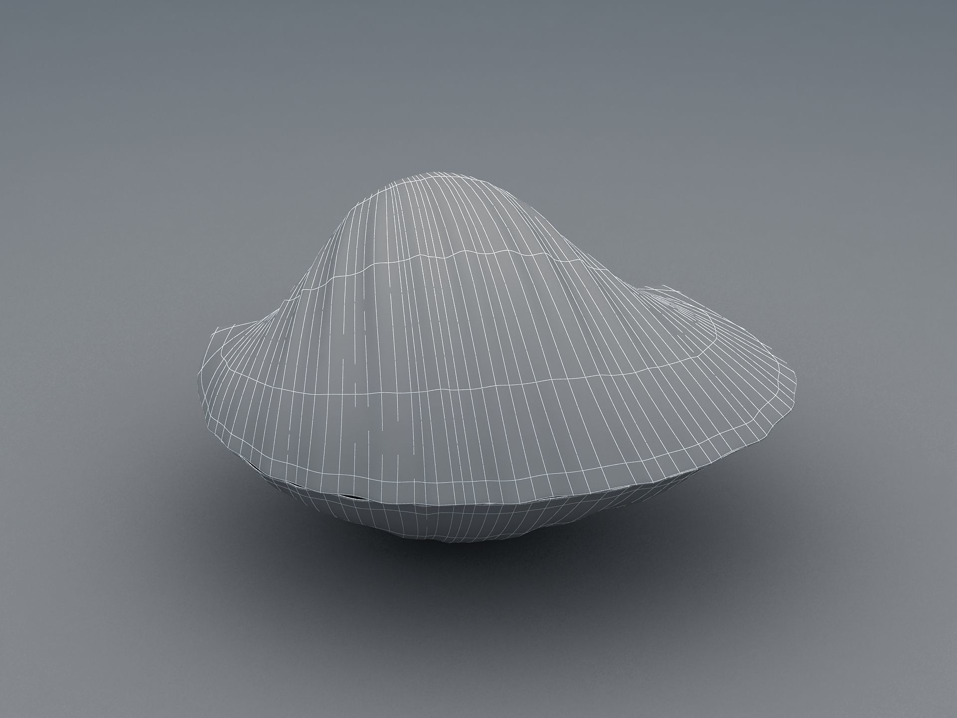 Tegillarca granosa Clam Low-poly 3D model_14