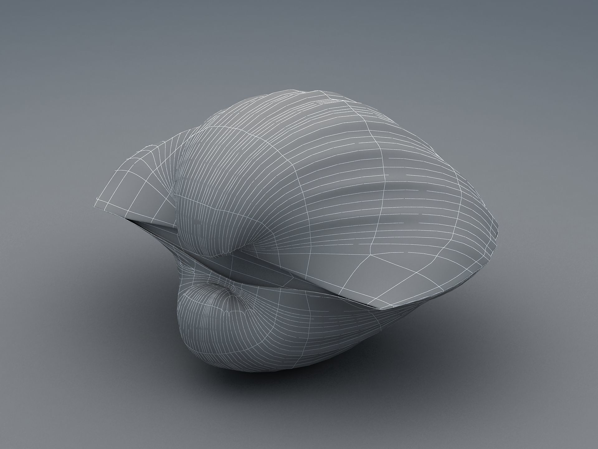 Tegillarca granosa Clam Low-poly 3D model_11