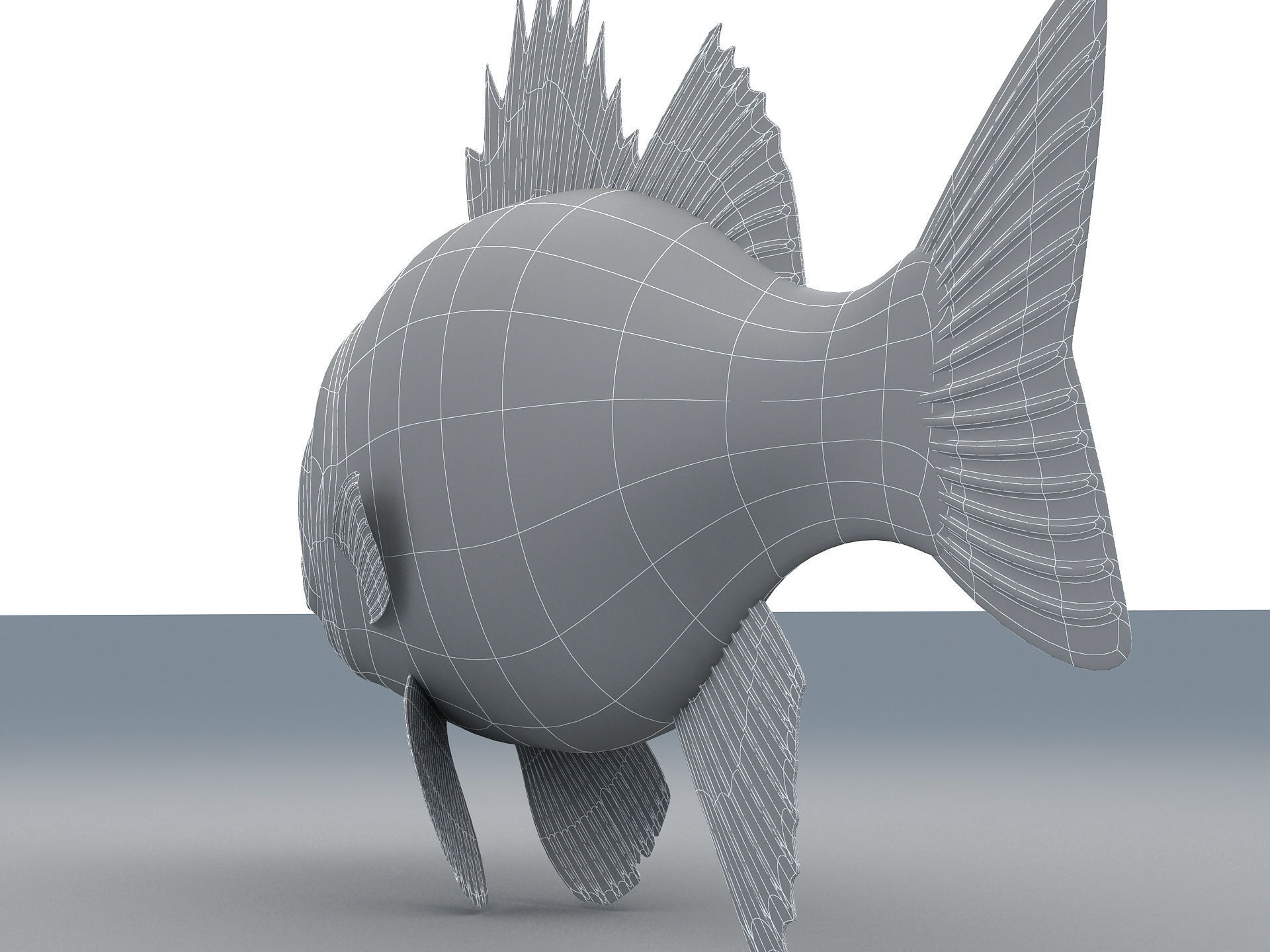 Perch Weever Sea Bass Fish Low-poly 3D model_11