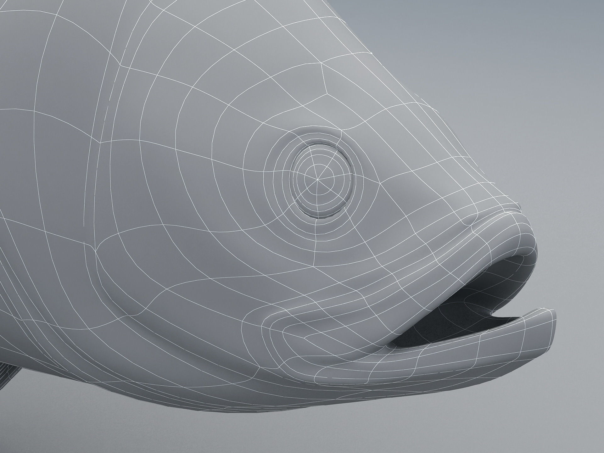 Perch Weever Sea Bass Fish Low-poly 3D model_17