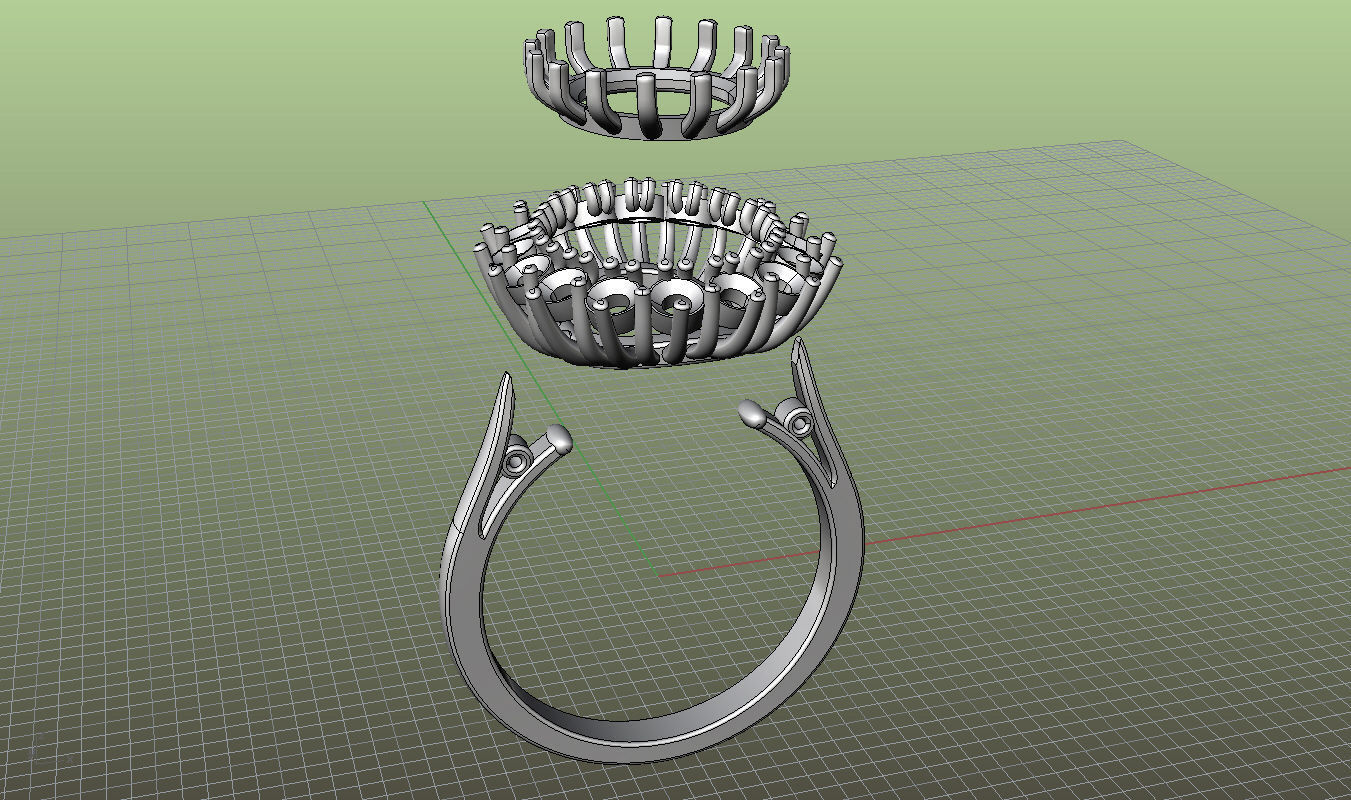 Ring Diana 2 sizes 3D print model_4