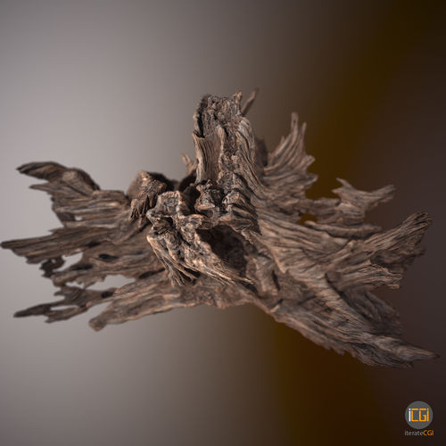 Driftwood piece of Low-poly 3D model