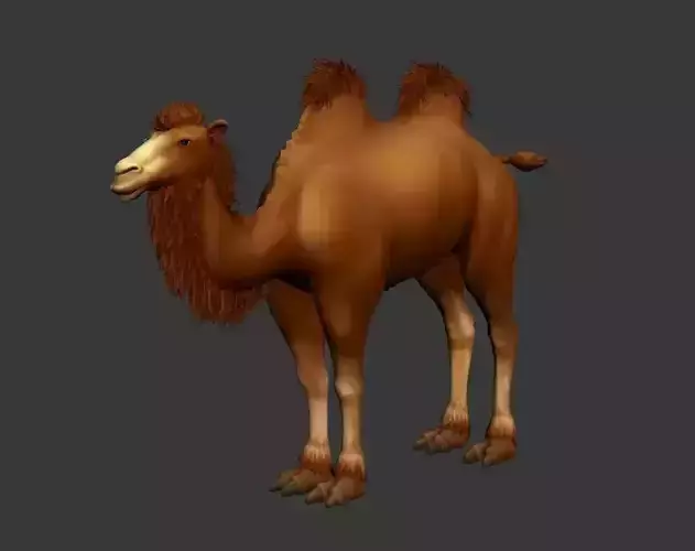 BactrianCamel camel with long hair Low-poly 3D model
