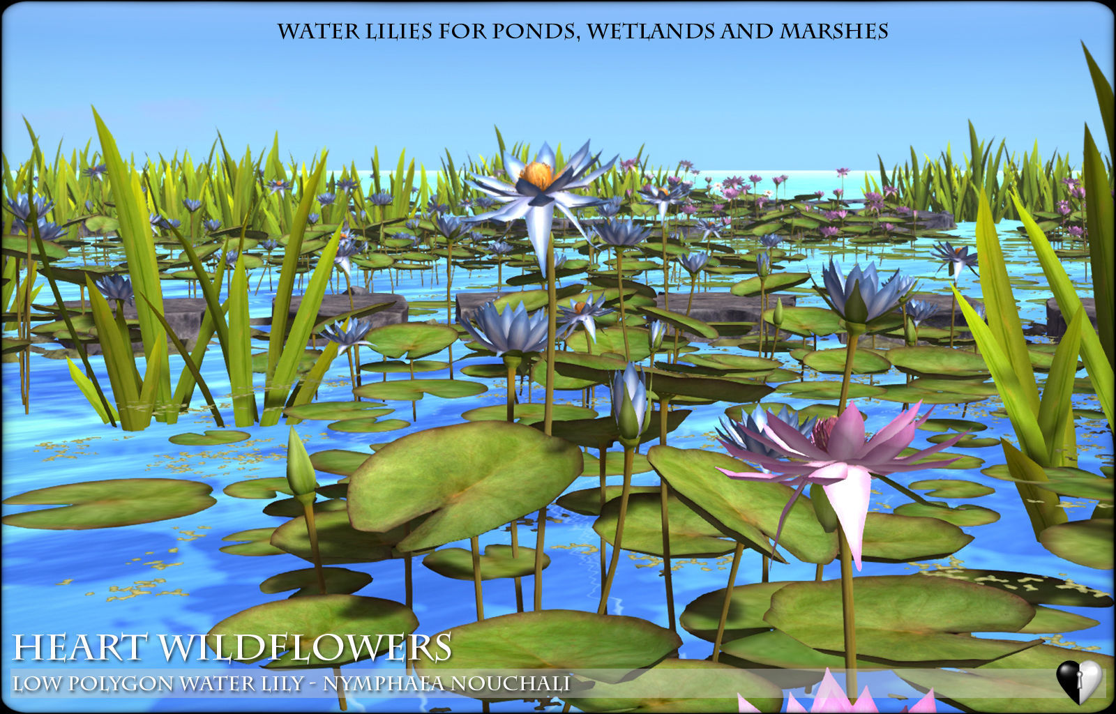 Low Polygon 3D Water lilies for Games and Visualisation Low-poly 3D model_4