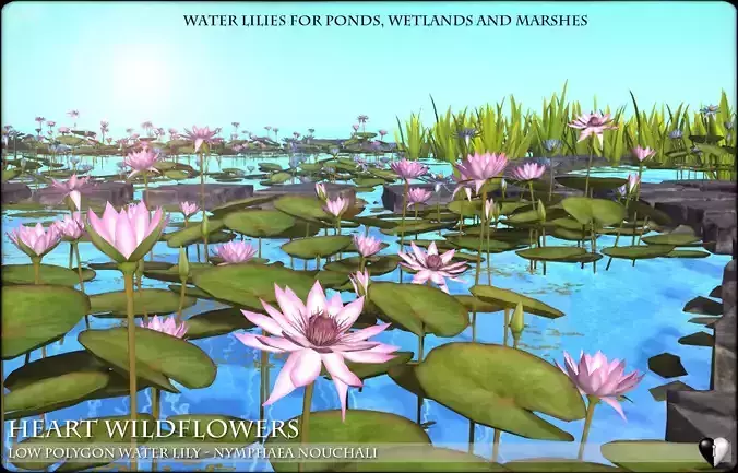Low Polygon 3D Water lilies for Games and Visualisation Low-poly 3D model