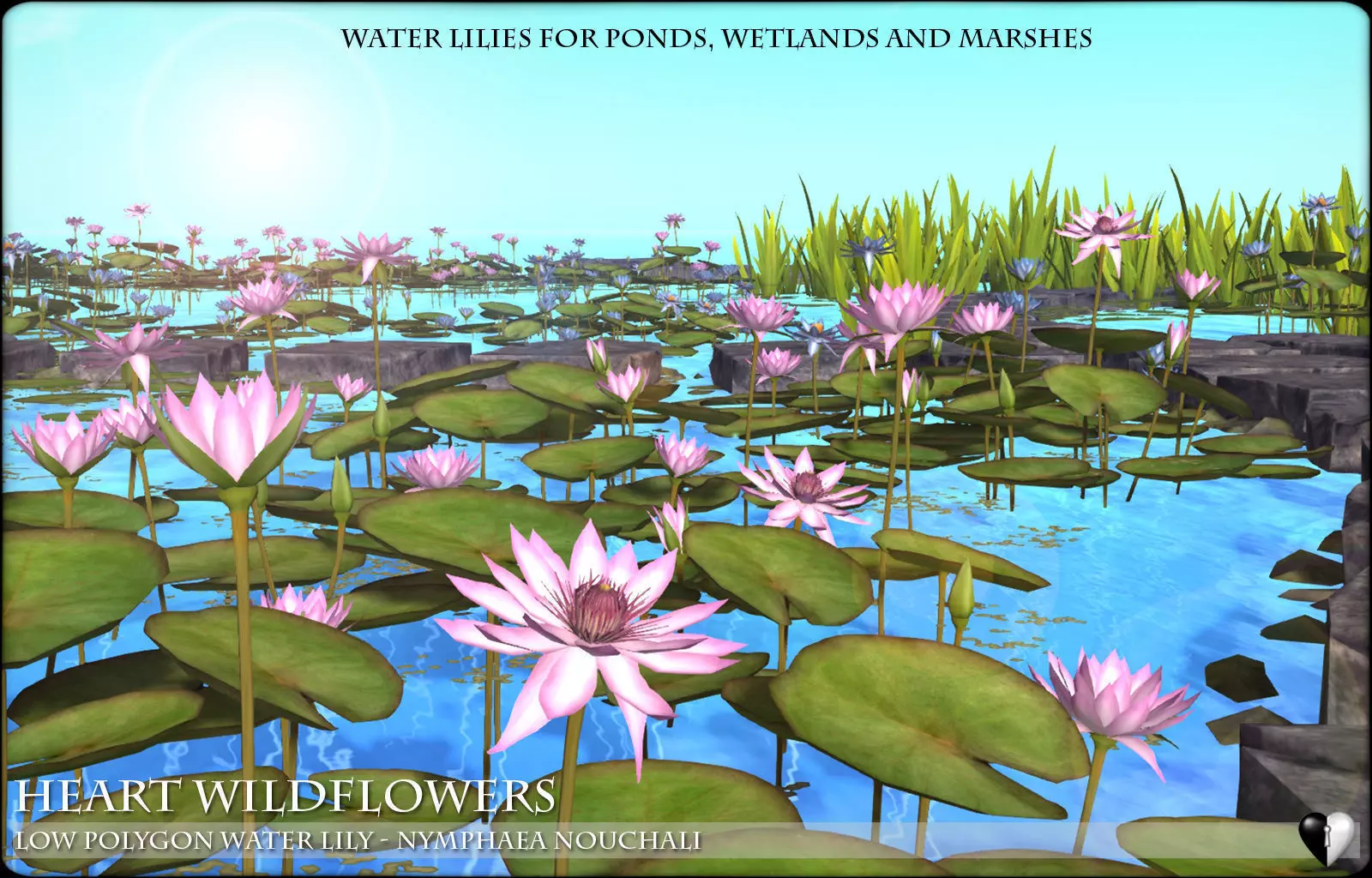 Low Polygon 3D Water lilies for Games and Visualisation Low-poly 3D model_0