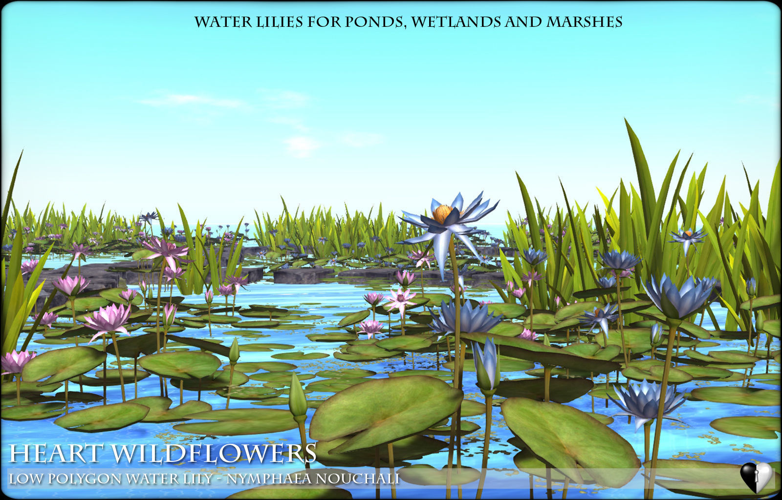 Low Polygon 3D Water lilies for Games and Visualisation Low-poly 3D model_3