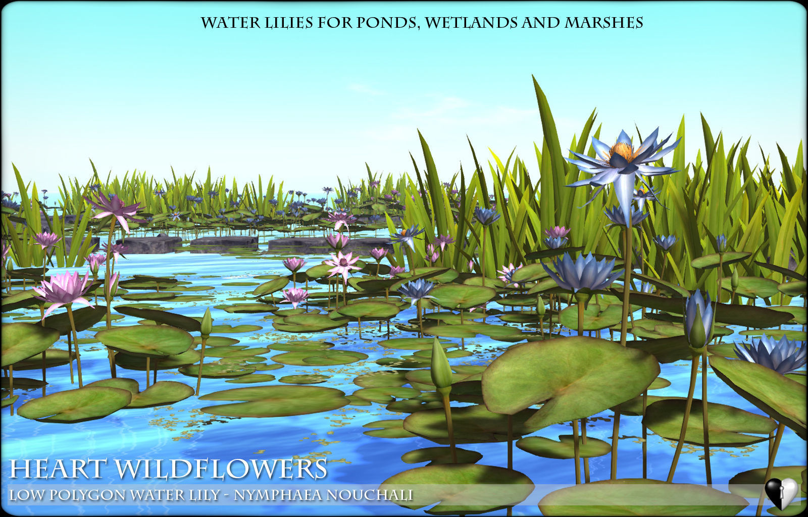 Low Polygon 3D Water lilies for Games and Visualisation Low-poly 3D model_2