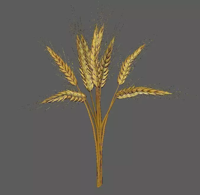 Wheat Golden model 3D model_0