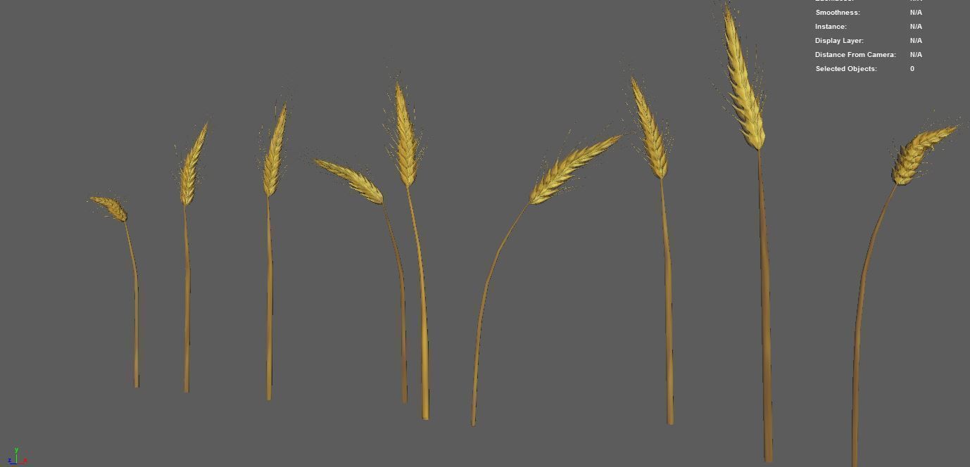 Wheat Golden model 3D model_1