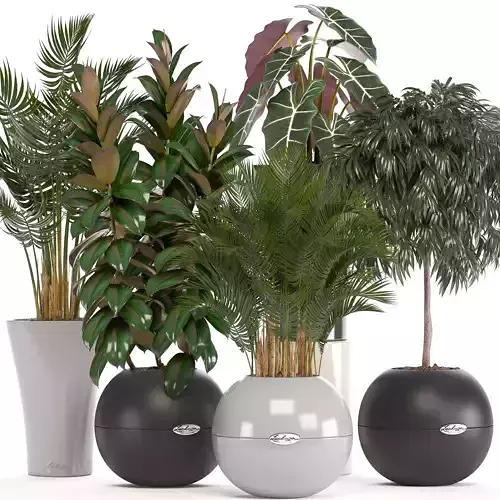 collection of plants in pots 3D model