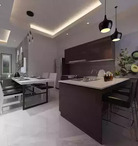 Living Room and Kitchen interior design 
