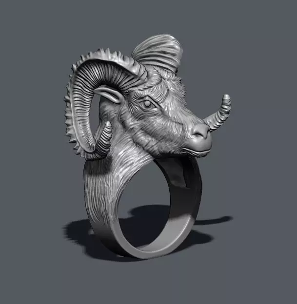 aries ring 3D print model