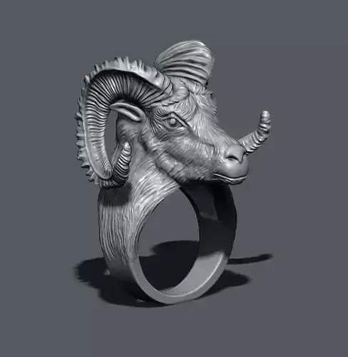 aries ring 3D print model