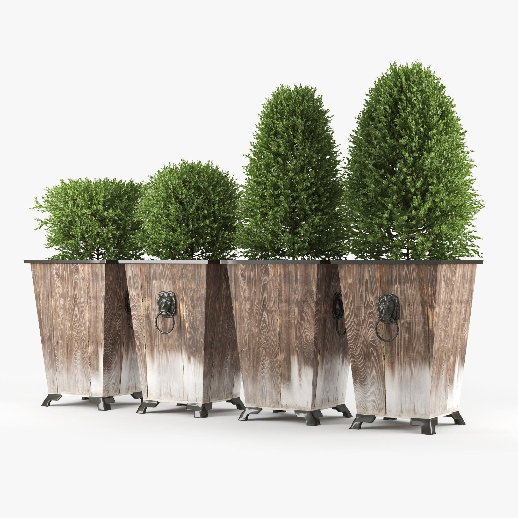 Green bush 3D model_3