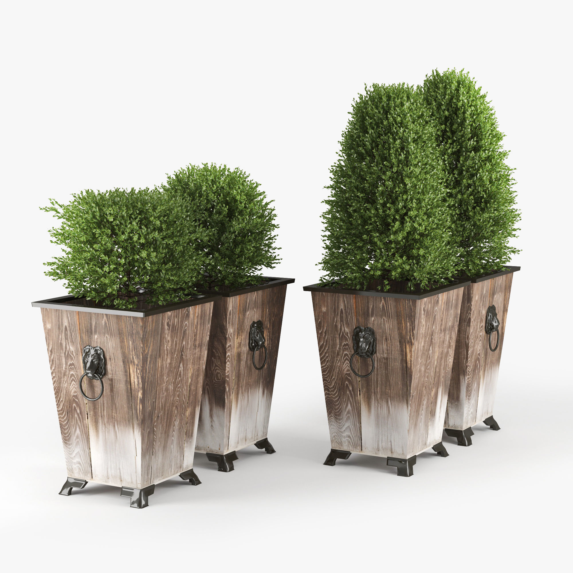 Green bush 3D model_2