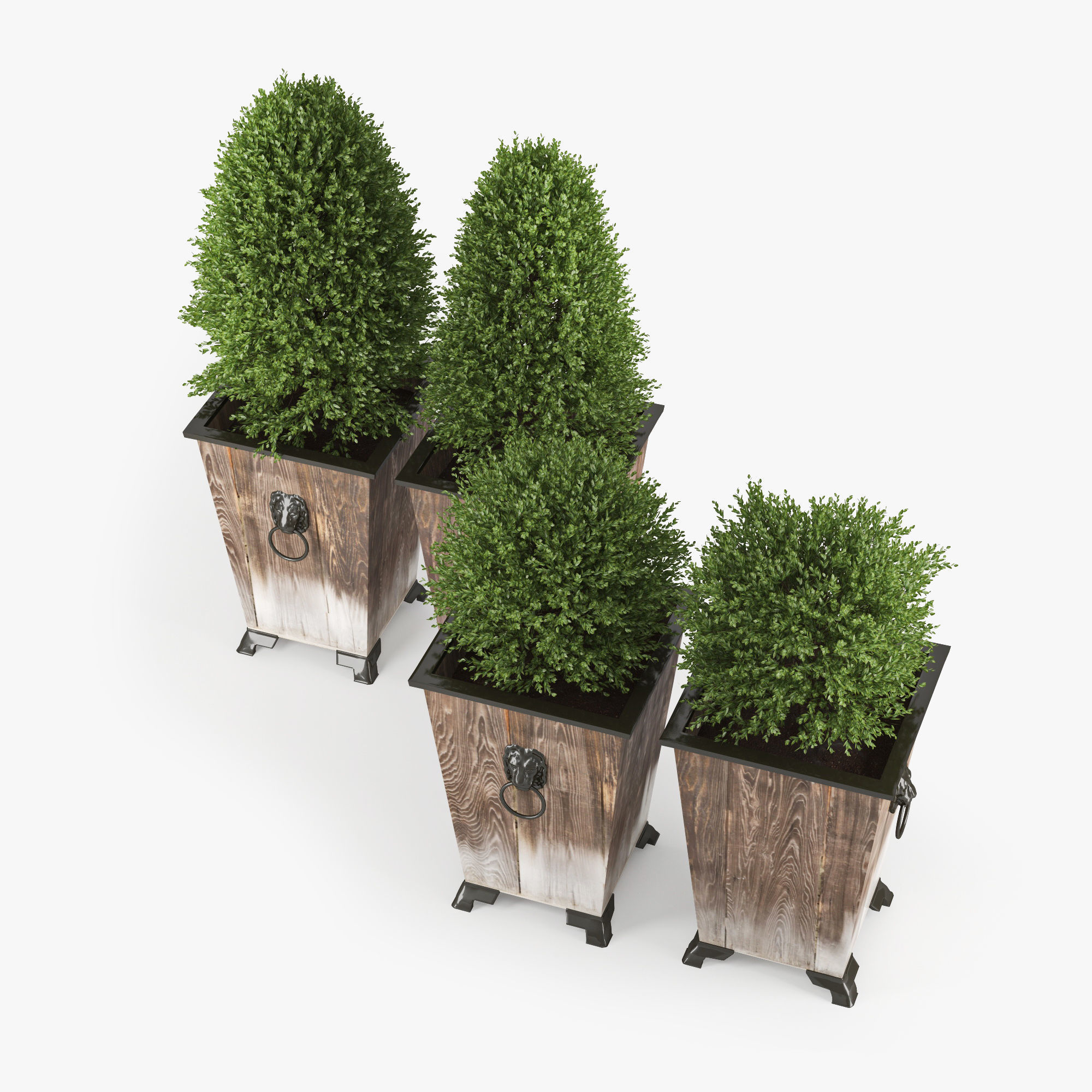 Green bush 3D model_1