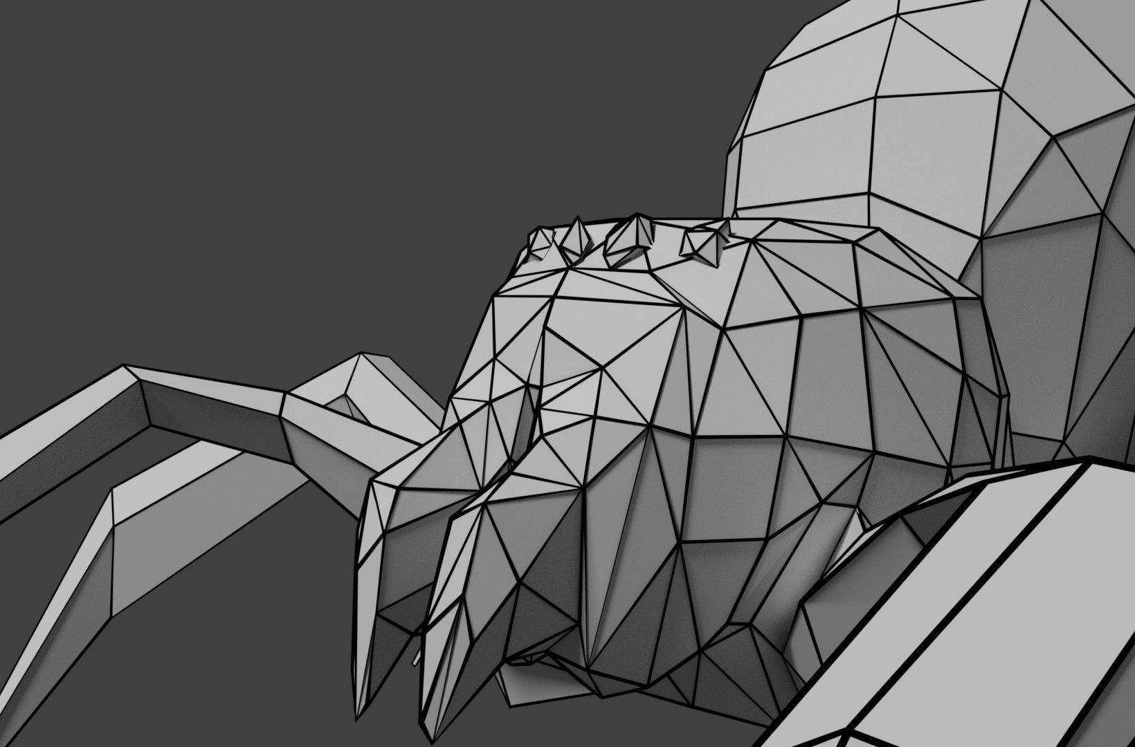 spider low poly Low-poly 3D model_8