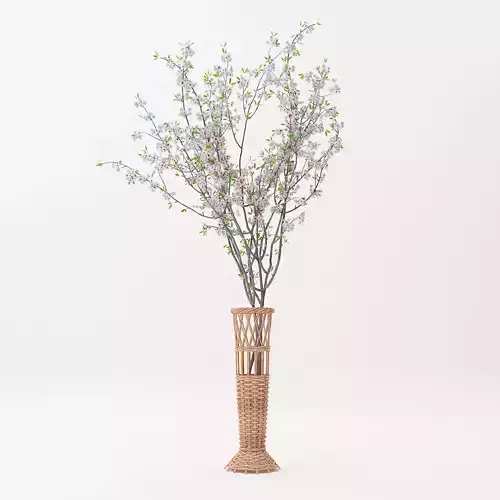 Basket Vase and Sakura Flower