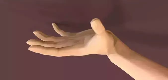 Left Hand Free 3D model