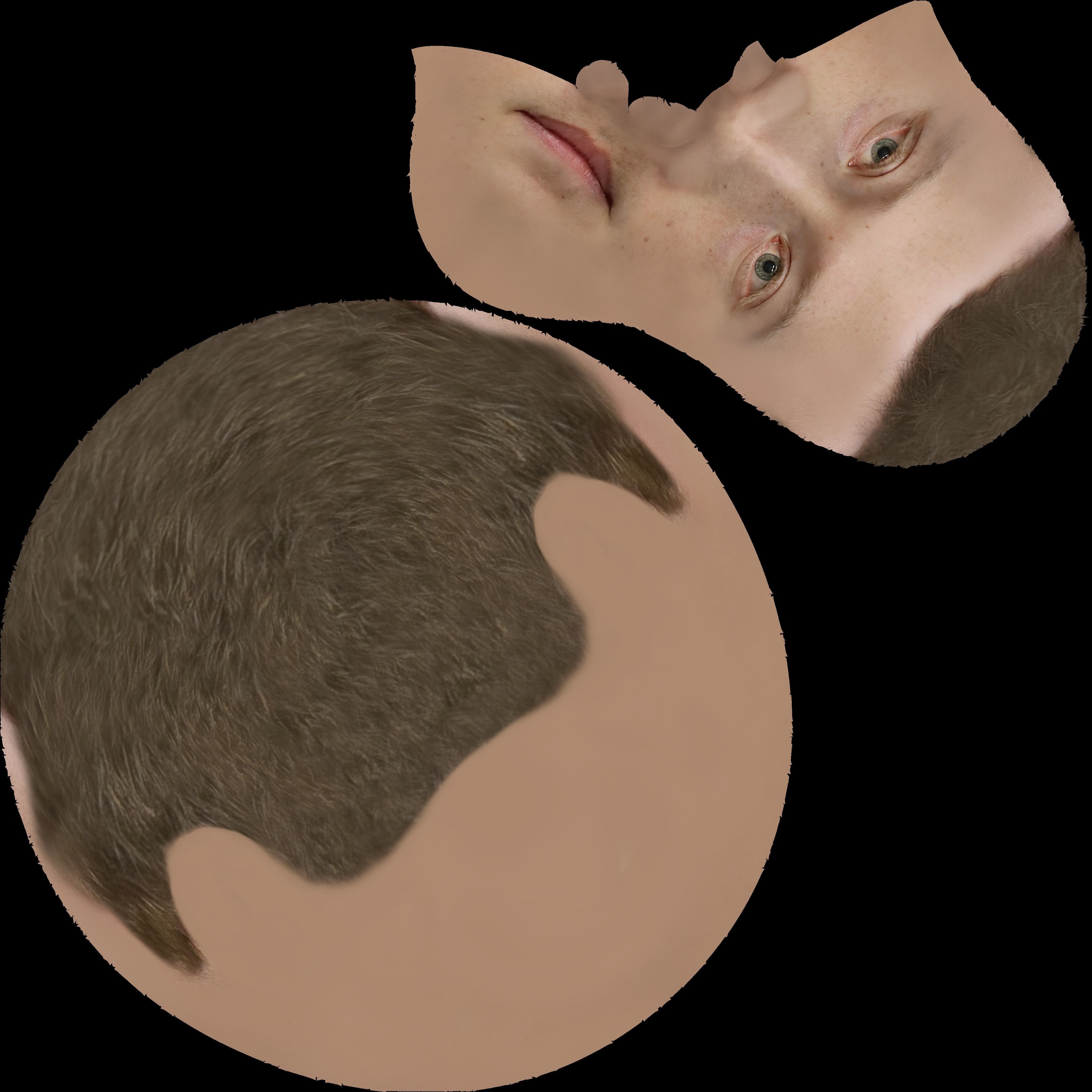 Mark Zuckerberg 3D model_44