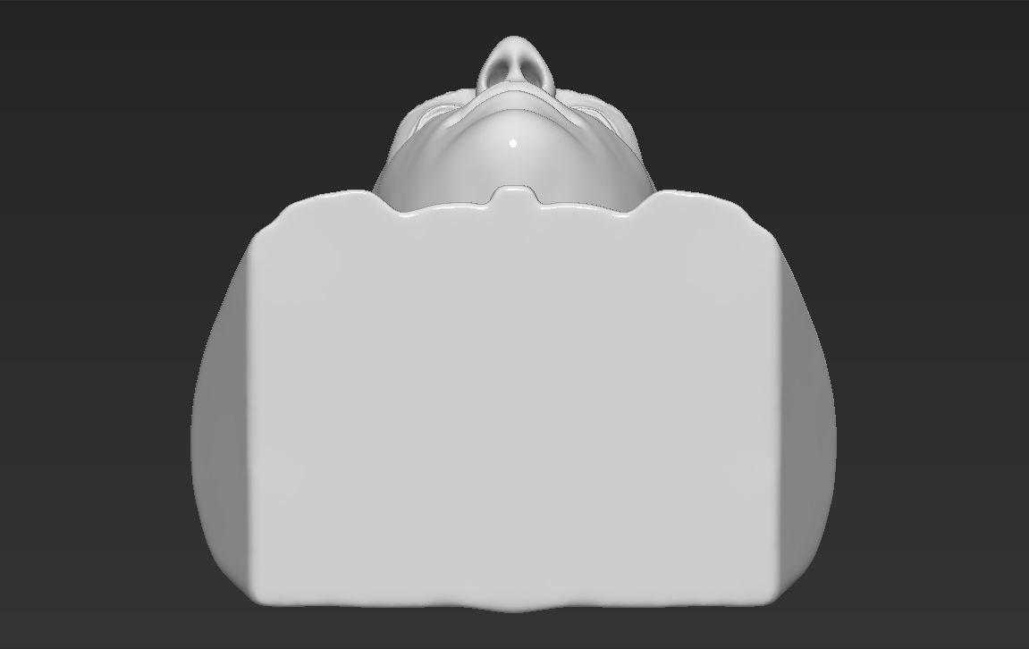 Mark Zuckerberg bust ready for full color 3D printing 3D print model_32