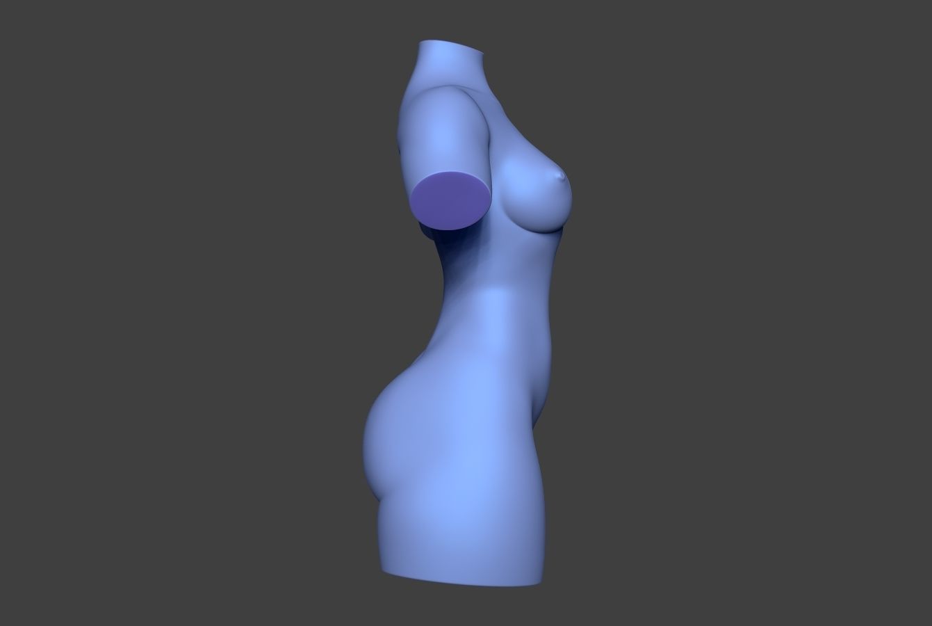 Female Torso 14 Low-poly 3D model_3