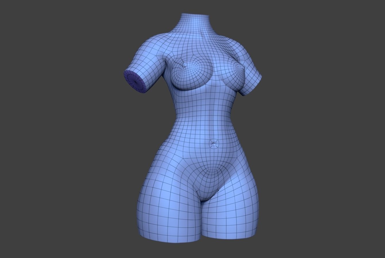 Female Torso 14 Low-poly 3D model_10