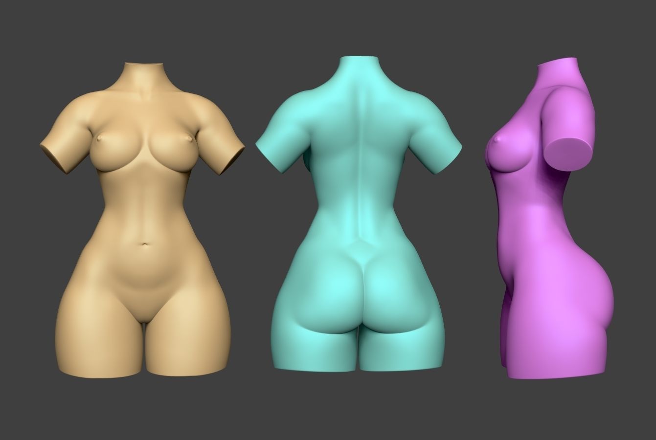 Female Torso 14 Low-poly 3D model_1