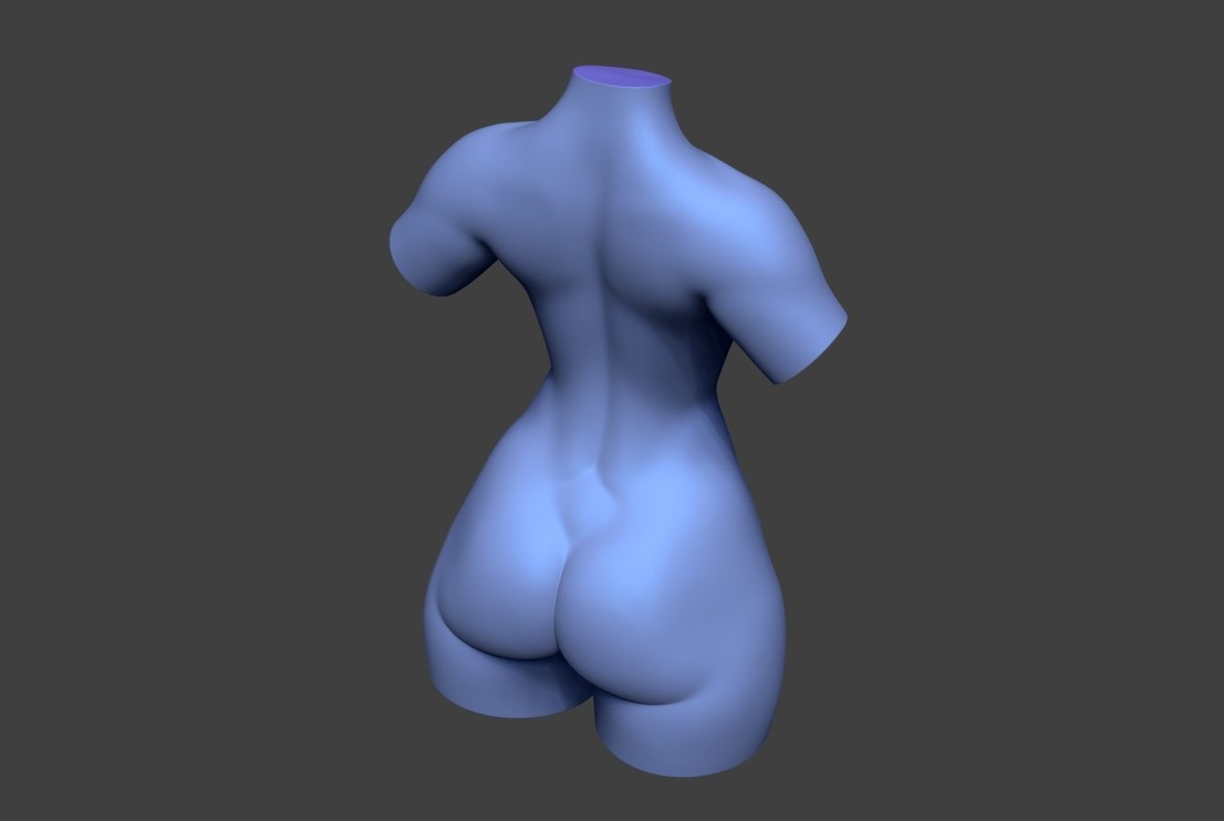 Female Torso 14 Low-poly 3D model_7