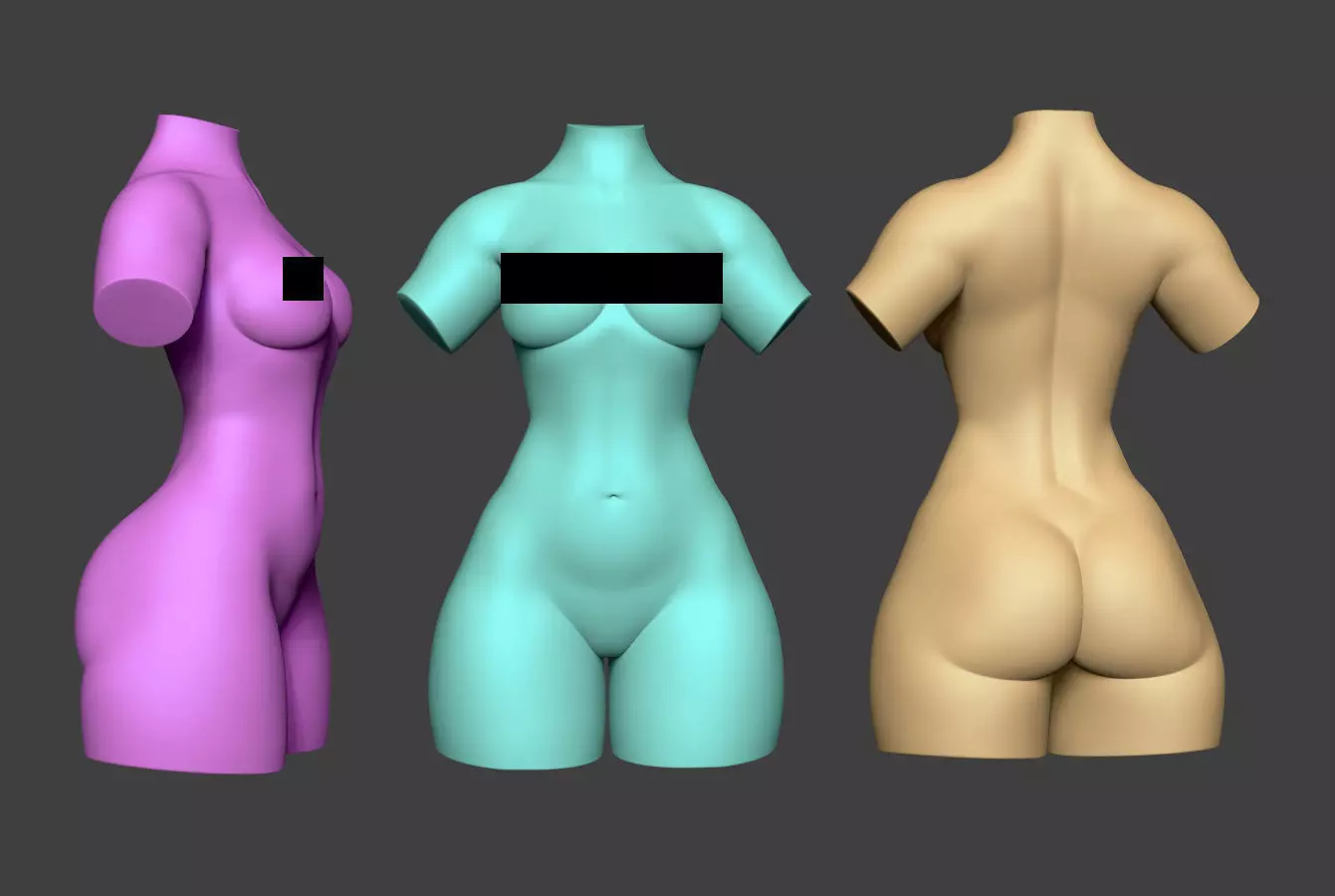 Female Torso 14 Low-poly 3D model_0