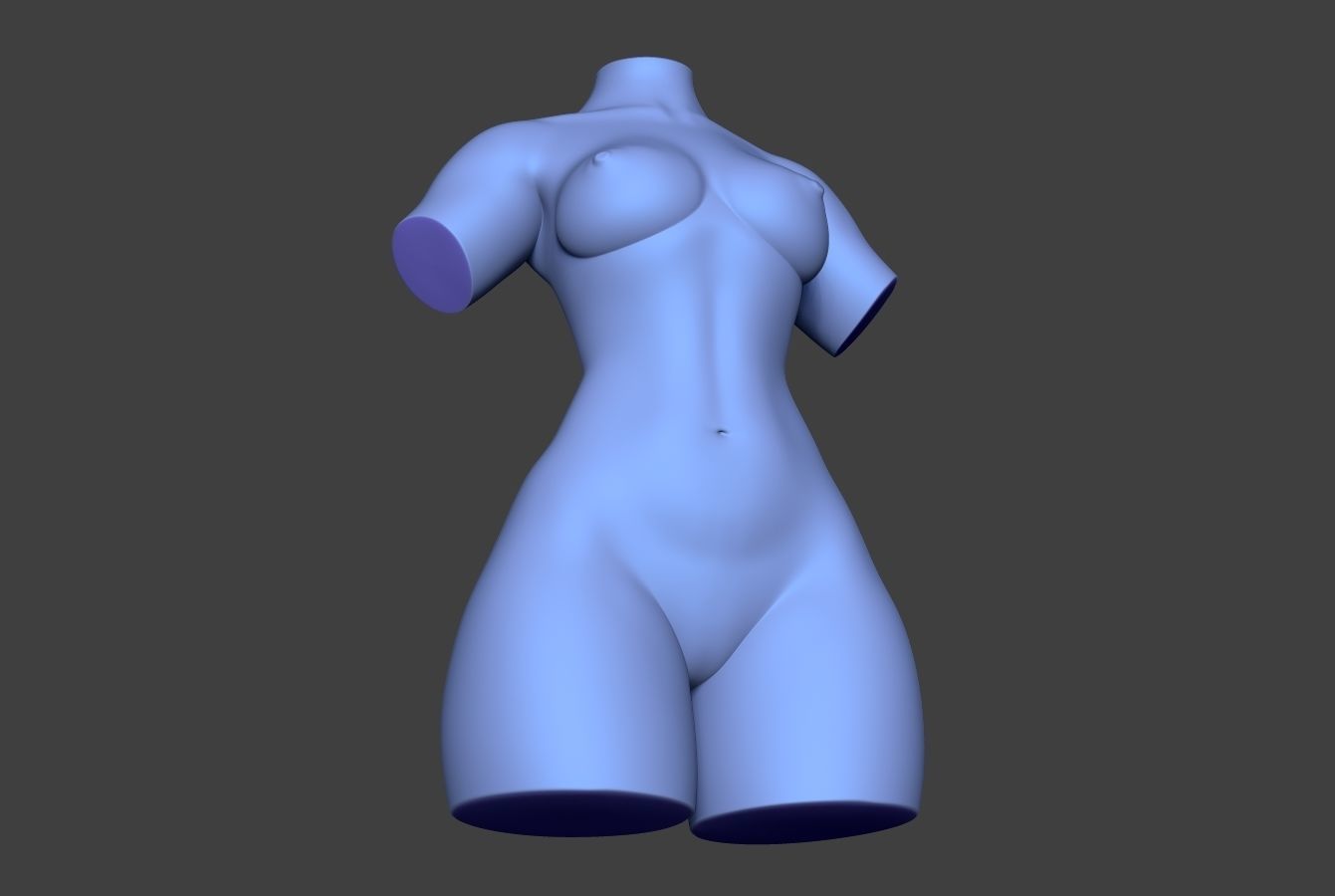 Female Torso 14 Low-poly 3D model_6