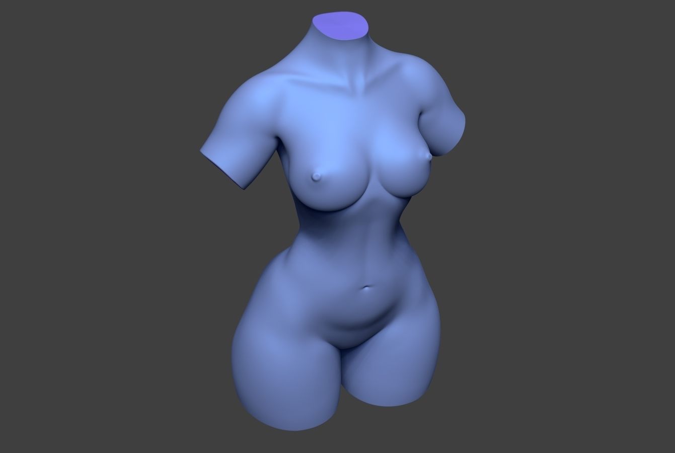 Female Torso 14 Low-poly 3D model_5