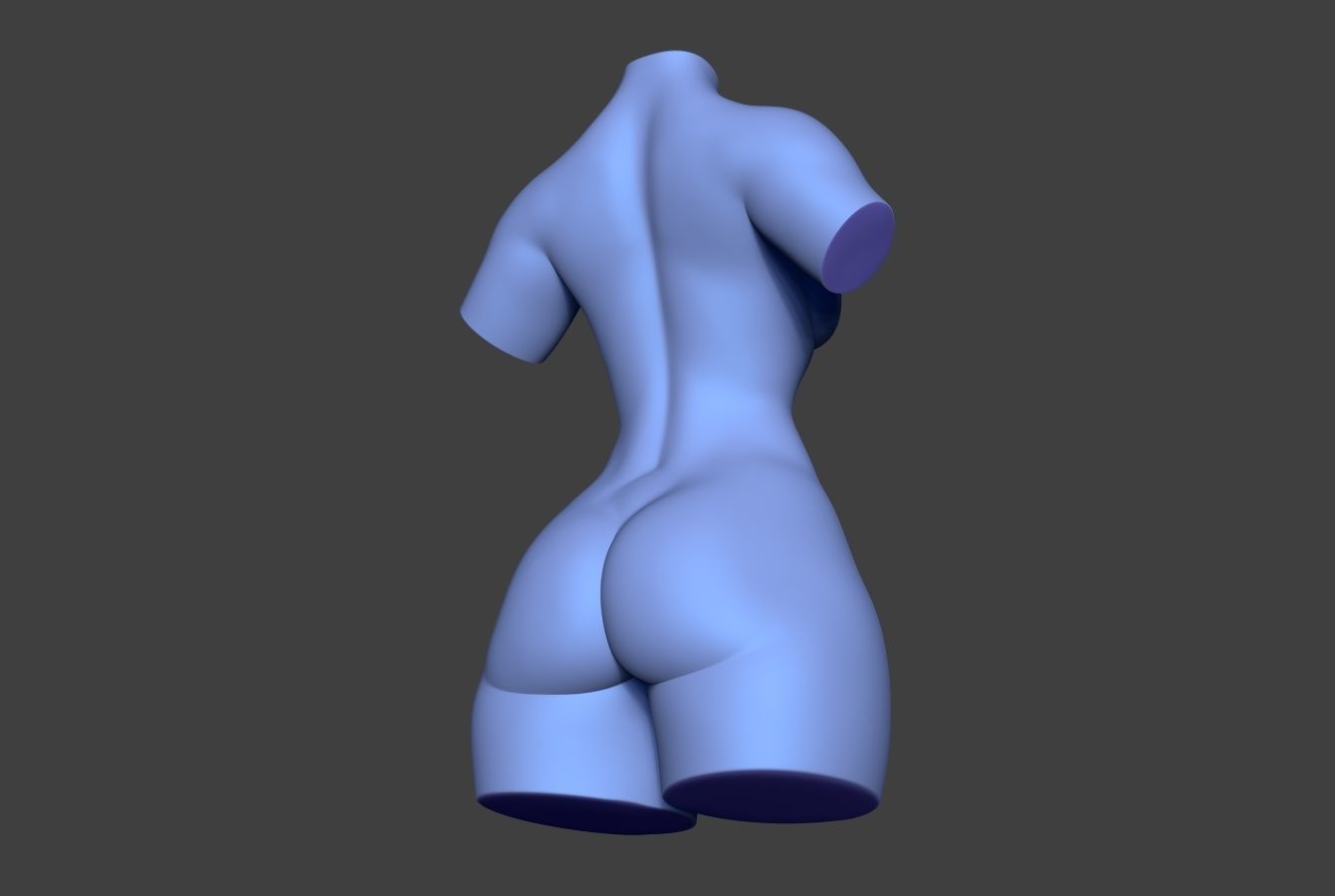 Female Torso 14 Low-poly 3D model_8
