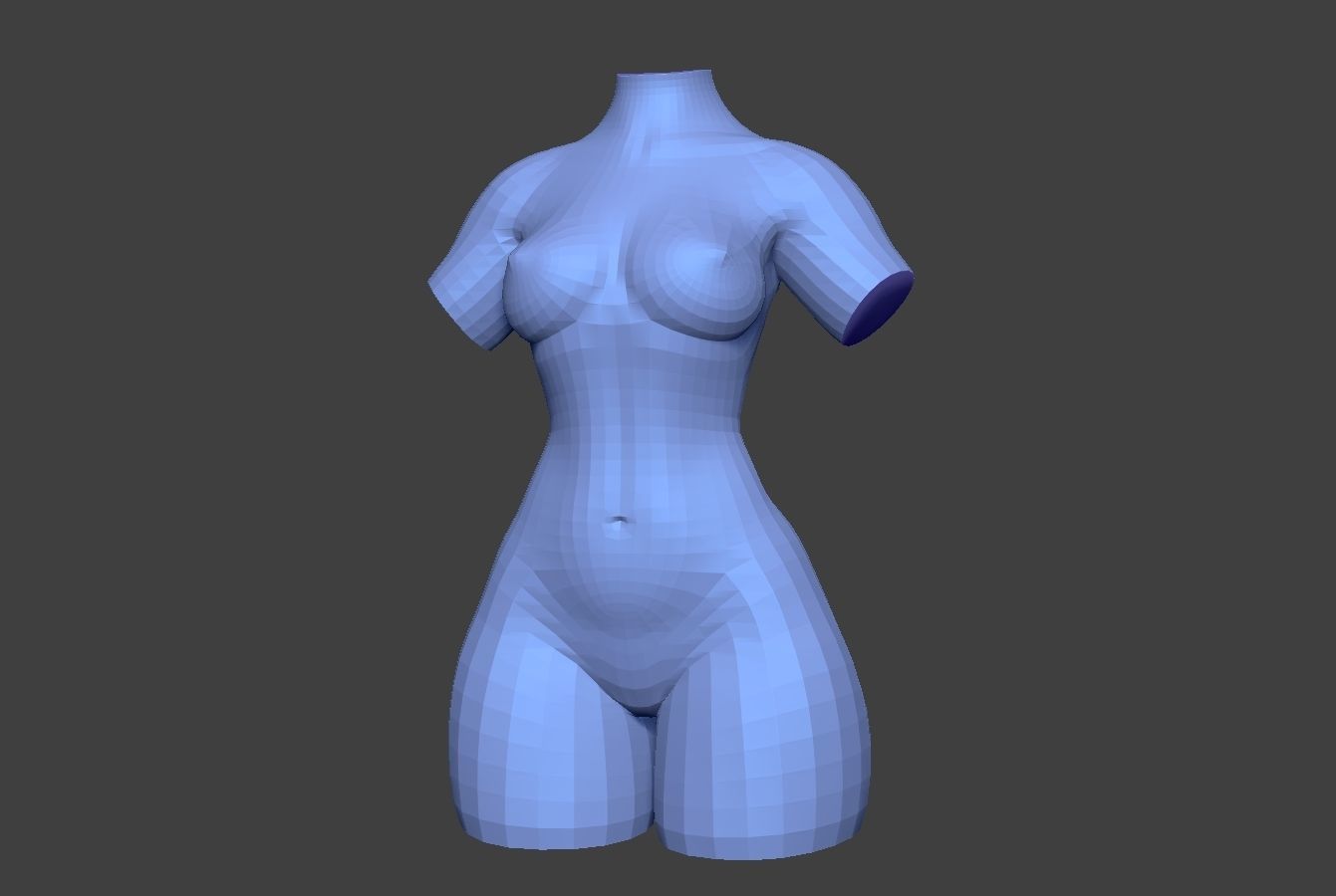 Female Torso 14 Low-poly 3D model_12