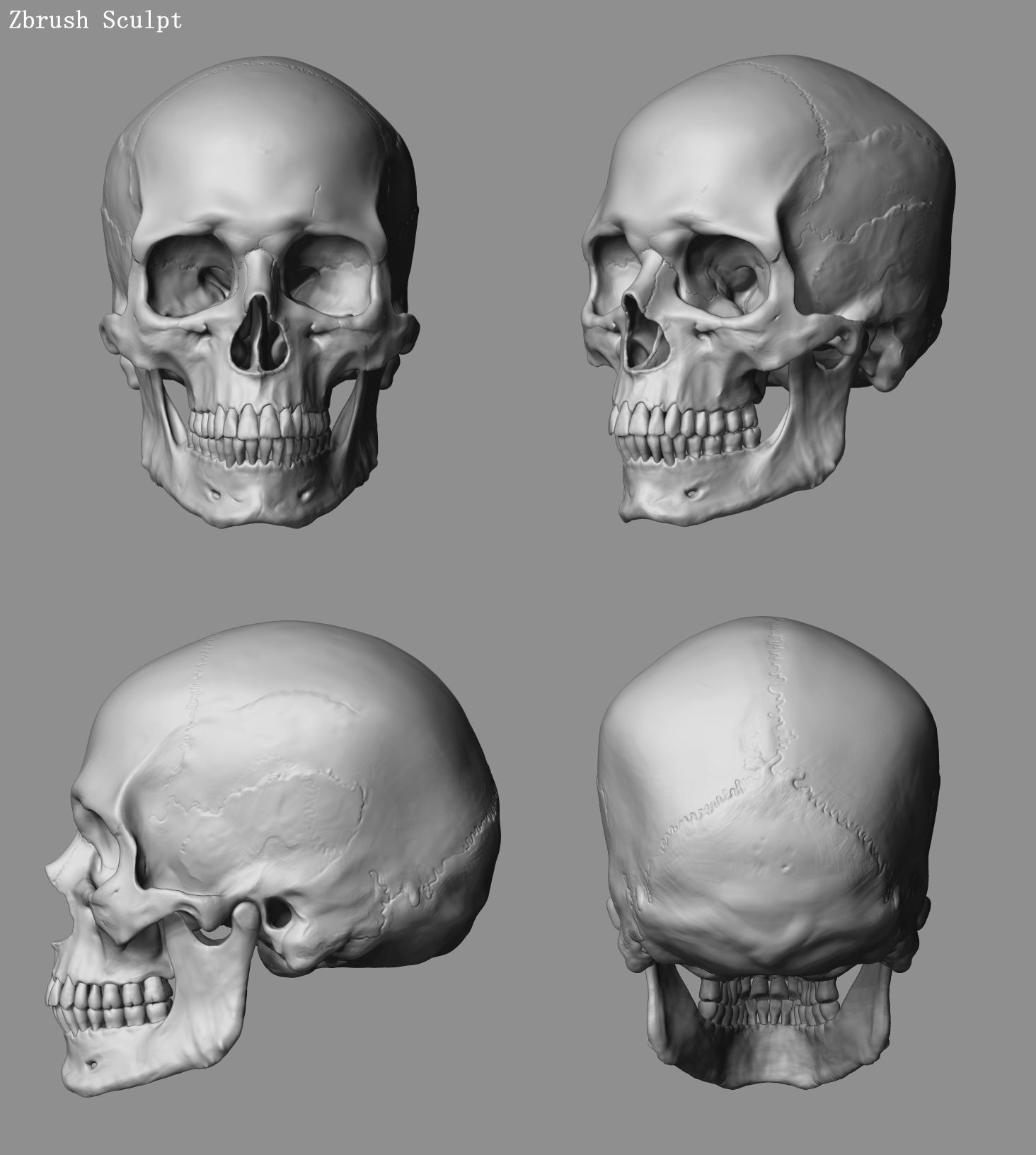 Human Skull Caucasian Male Low-poly 3D model_14