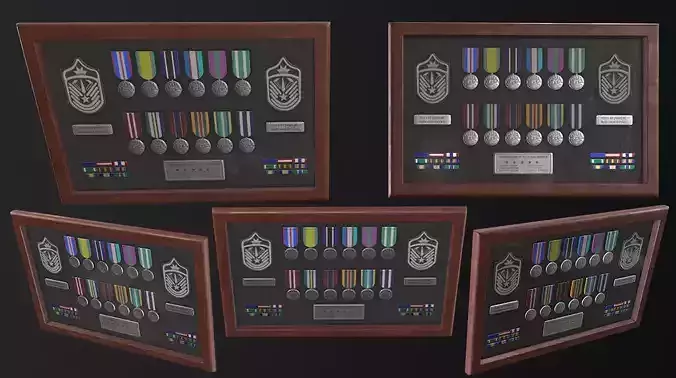 Police Medal Board