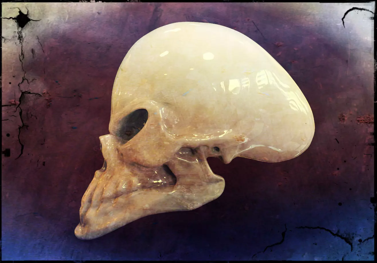 Alien Skull Free 3D model