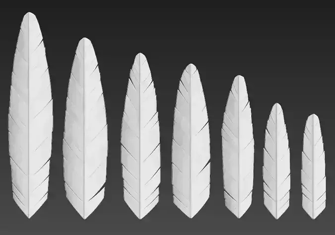 Feather seven different sizes