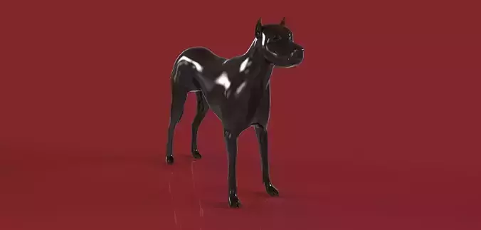Dog For IVO ALBERTI Free 3D model