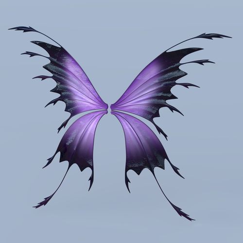 Fairy or Butterfly Wings Set C 3D model