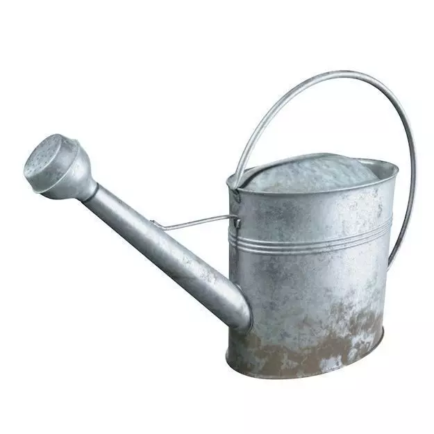 Dirty watering can Free 3D model