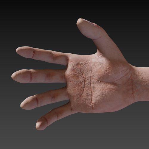First Person Female Hand Low-poly 3D model