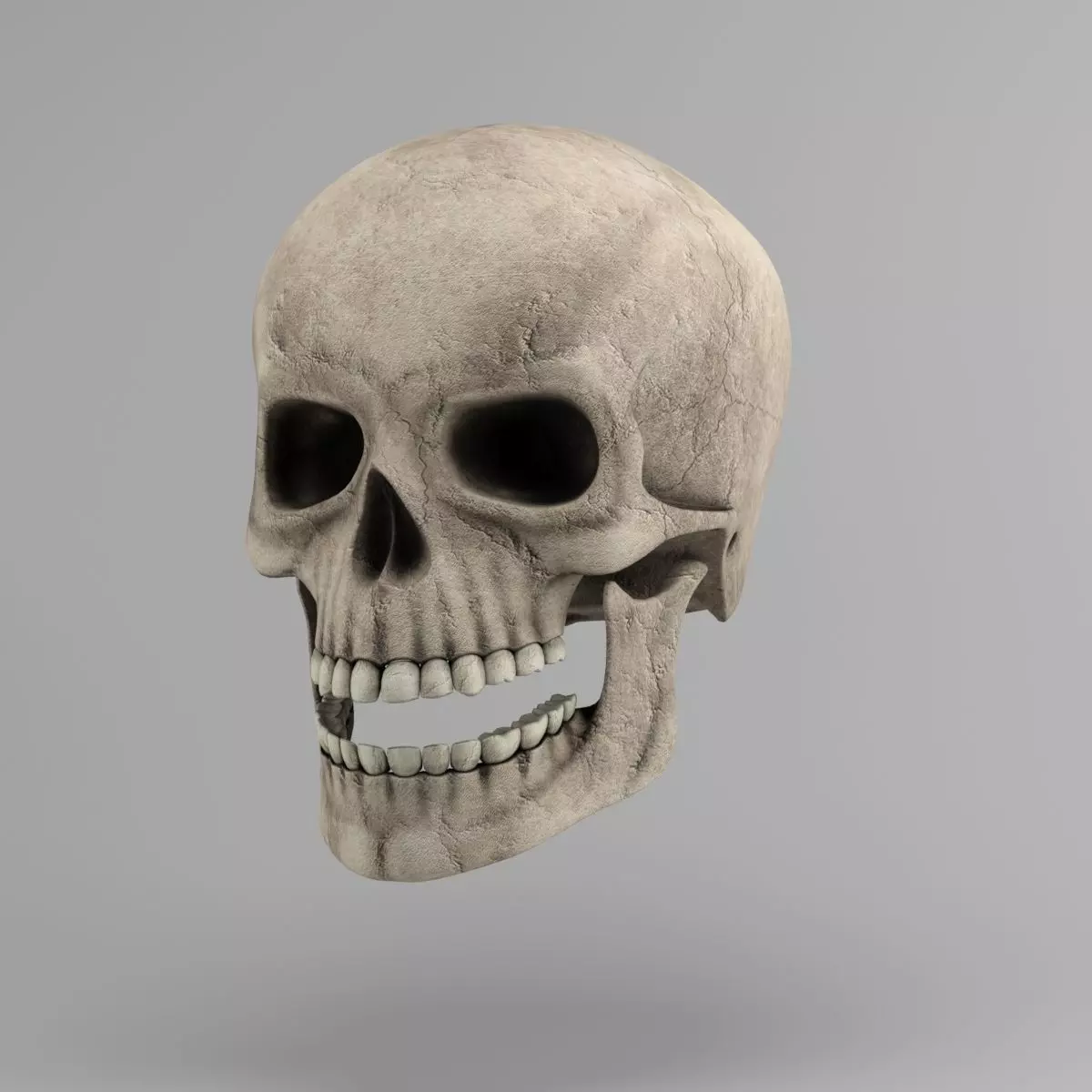 Skull human Low-poly 3D model_0