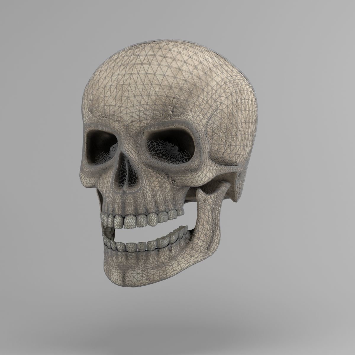 Skull human Low-poly 3D model_1