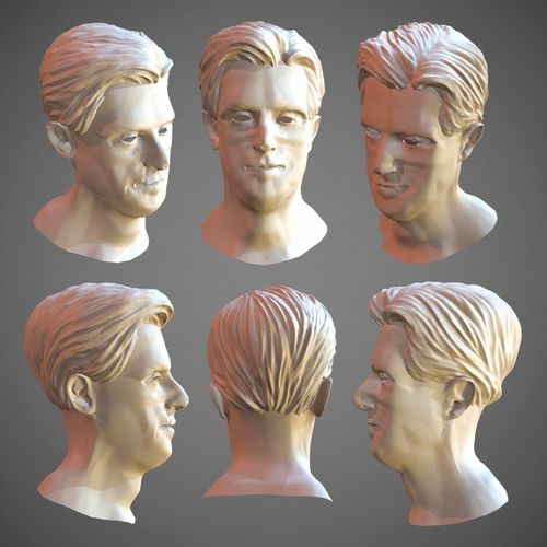 Hair model - lowpoly and sculpt Low-poly 3D model