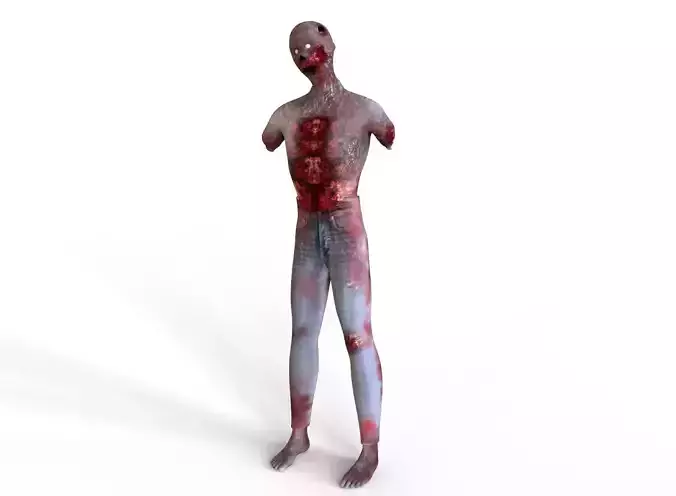 The Zombie mannequin