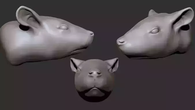 Rat Head 3D model