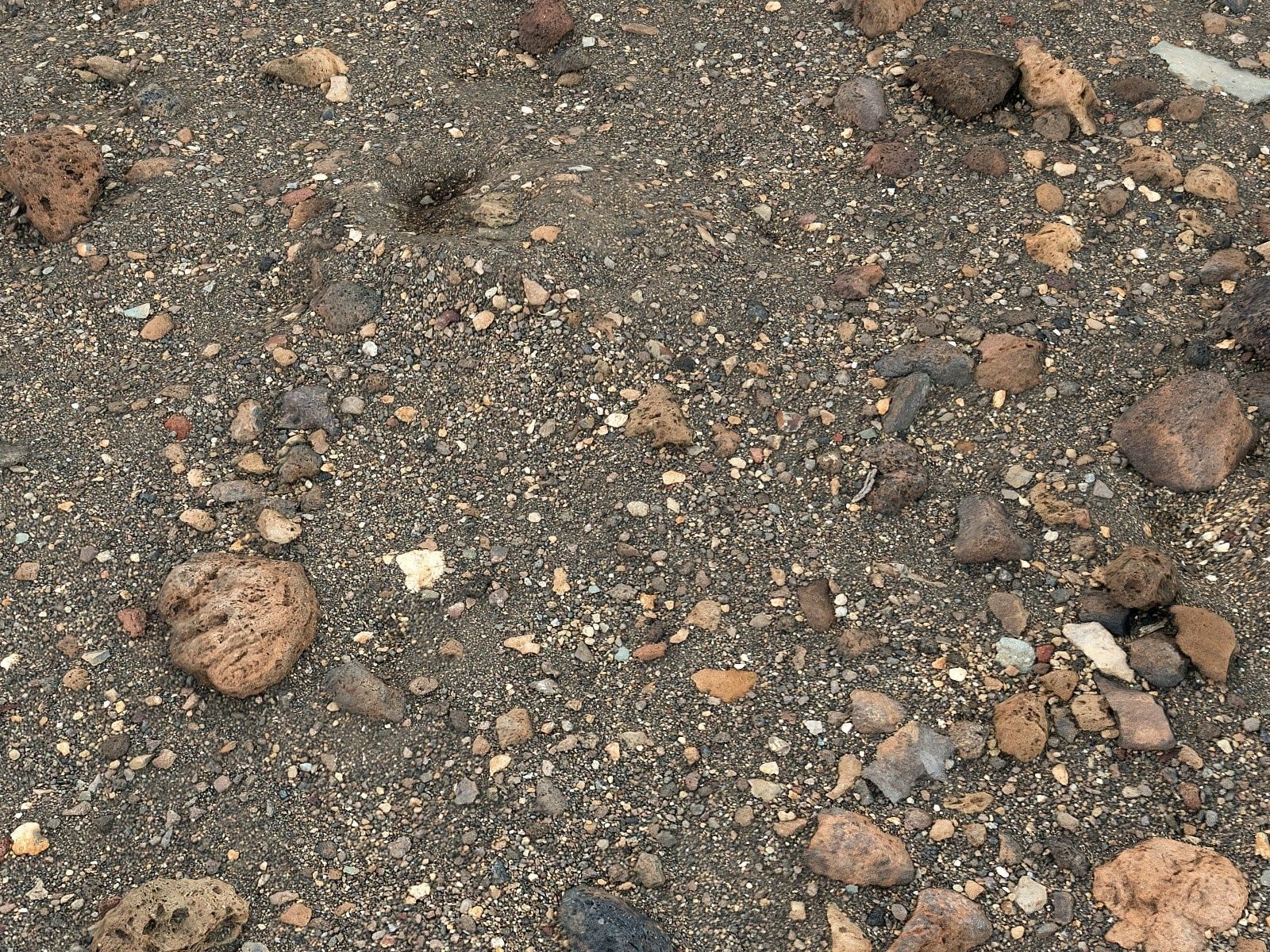 Stone Desert 16K Low-poly 3D model_3